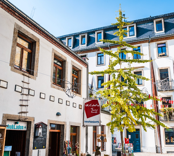 Hof der Metamorphosen